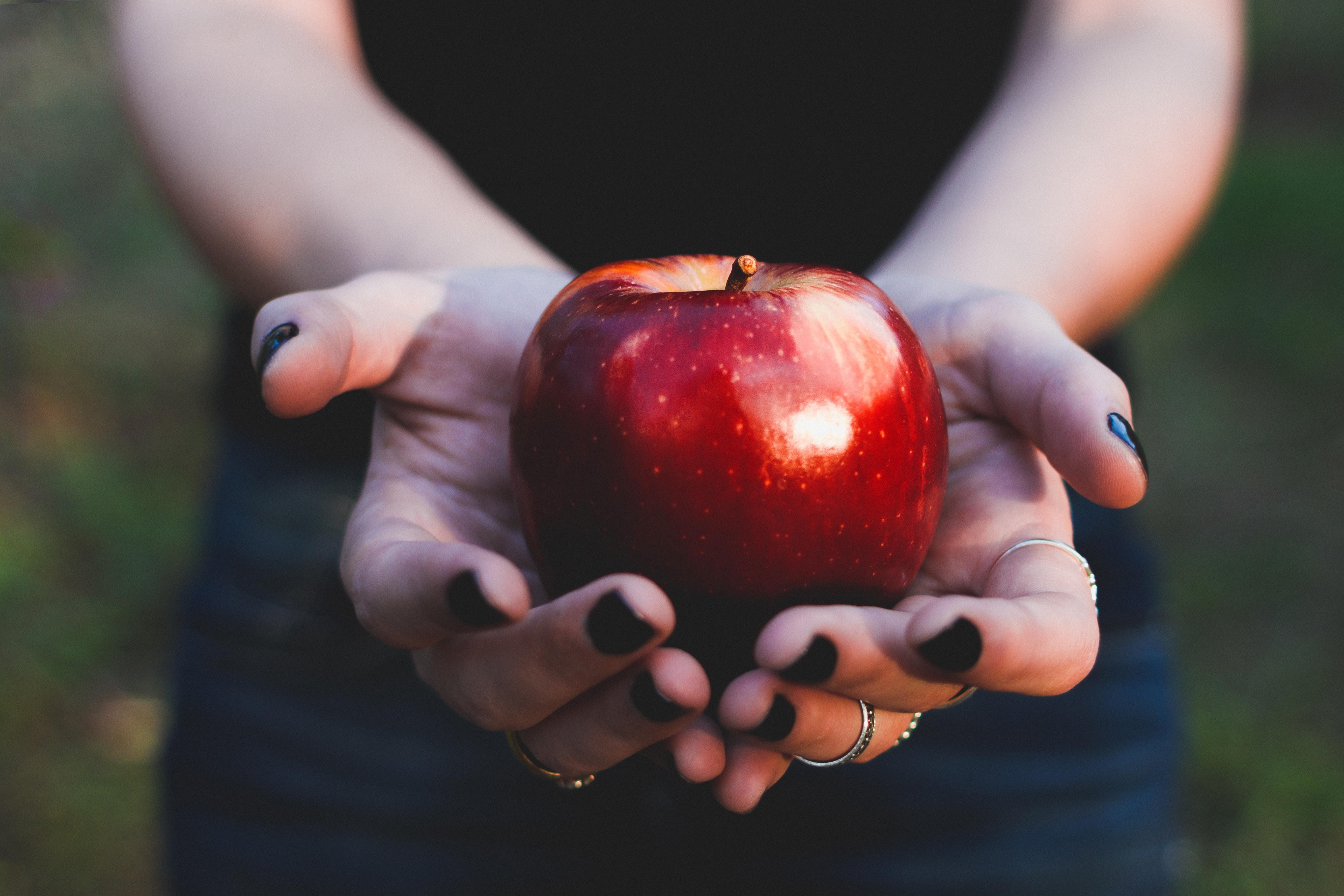 hands holding an apple