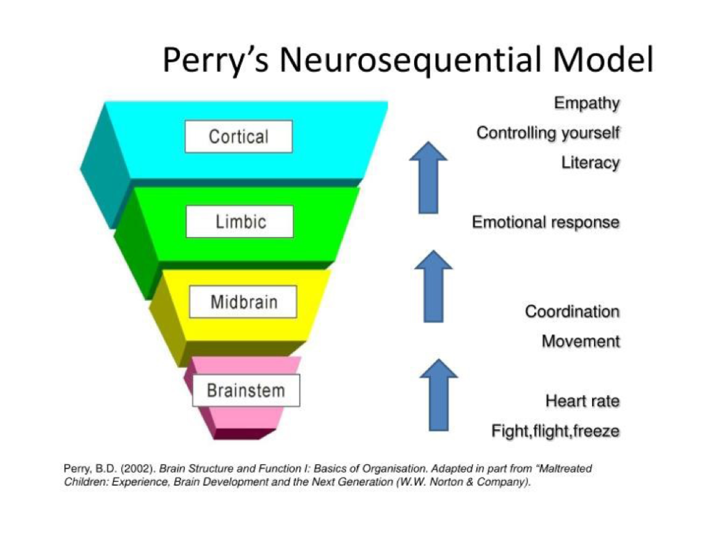 Perry's Neurosequential Model