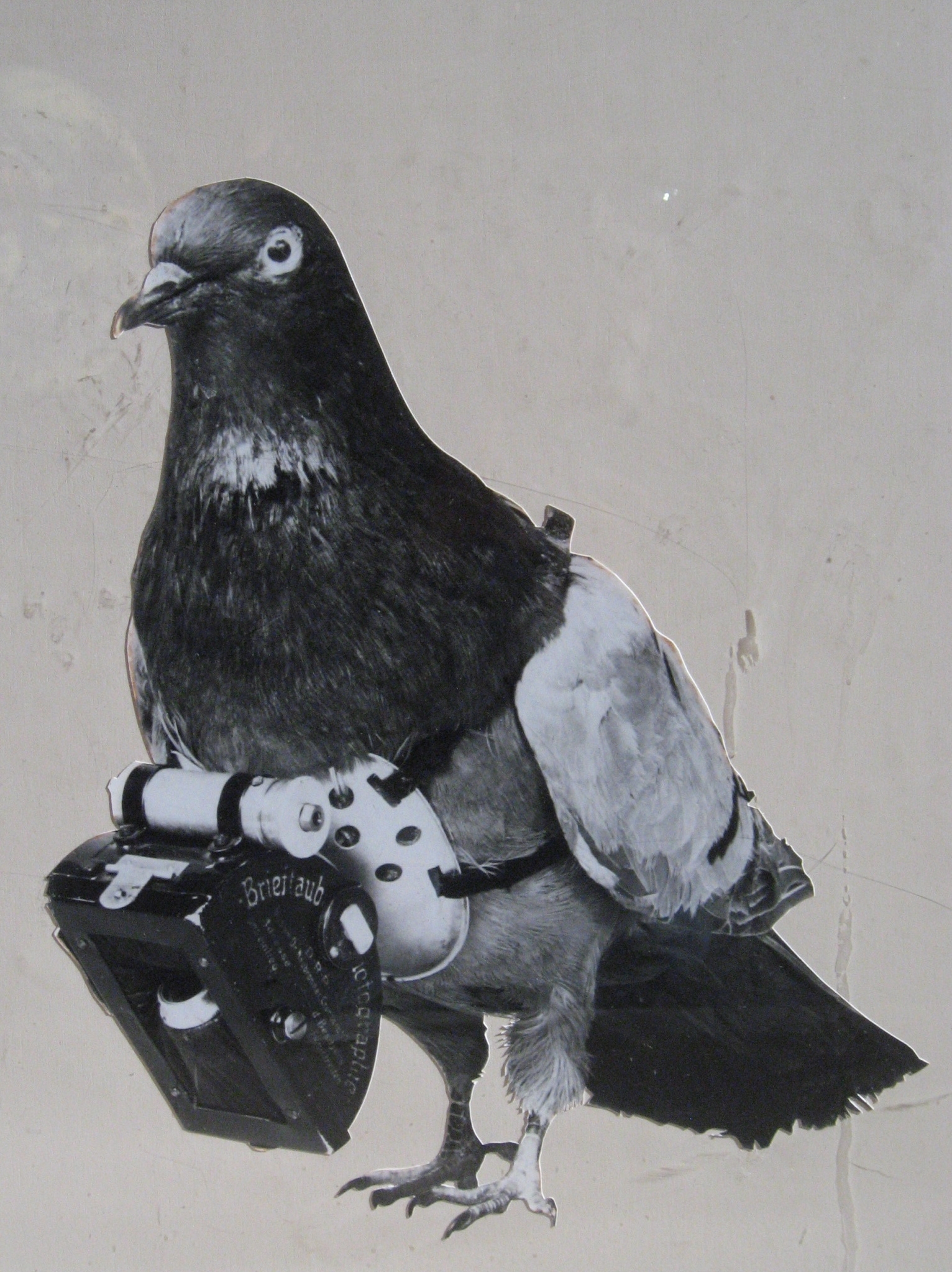 Dr. Julius Neubronner patented a miniature pigeon camera activated by a timing mechanism 1903