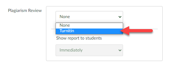 Screenshot of the Plagiarism Review drop-down menu in a Canvas assignment with Turnitin selected.