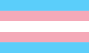 Trans Pride Flag: Five Horizontal Stripes: the top and bottom powder blue, the center white, and in between pink